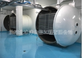 江苏大型冻干机：提高产量因素