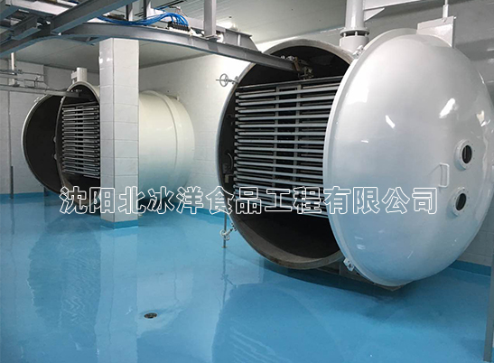 江苏大型冻干机：提供快速冻干解决方案